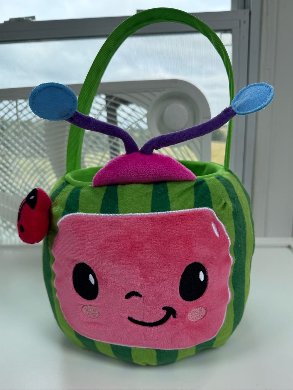 Cocomelon Basket